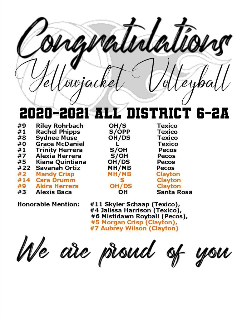 District Volleyball